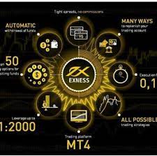 Exness Social: многофункциональная социальная сеть Exness