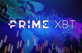 Easy Guide on How to Log in PrimeXBT Successfully